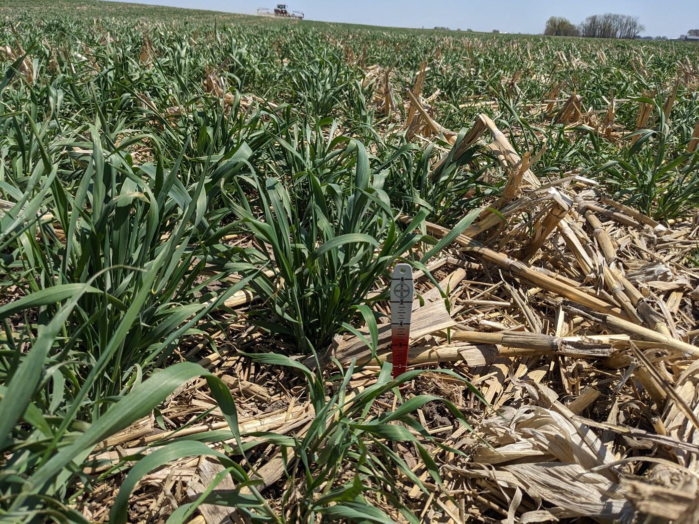 evaluating stand, May 4